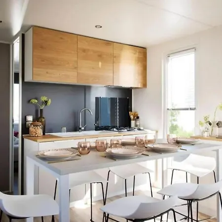 营地 Mobil Spacieux Pour 6 Avec Terrasse - Api-1-52-1464 *