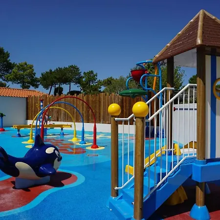 营地 Mobil Spacieux Pour 6 Avec Terrasse - Api-1-52-1464